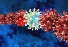 A vital tool to study virus evolution in the test tube