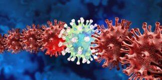 A vital tool to study virus evolution in the test tube