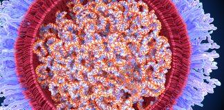 Can mRNA vaccines affect my genetic code?