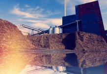 Boost for region’s bioeconomy as university thyme project secures £1.8m funding