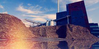 Boost for region’s bioeconomy as university thyme project secures £1.8m funding