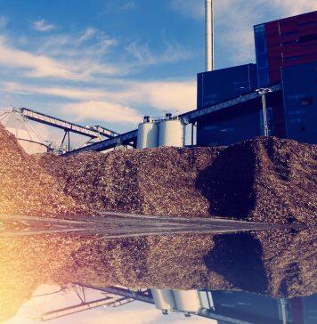 Boost for region’s bioeconomy as university thyme project secures £1.8m funding