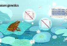 UM makes significant progress in 3D genome architecture analysis