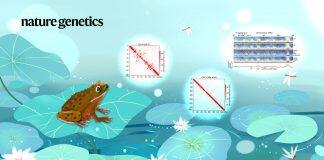 UM makes significant progress in 3D genome architecture analysis