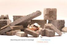 UM researcher develops robotic insects with ultrahigh agility