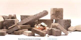 UM researcher develops robotic insects with ultrahigh agility