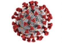 After its first suspected Delta variant community case, New Zealand goes into short, sharp nationwide lockdown