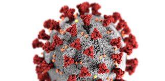 After its first suspected Delta variant community case, New Zealand goes into short, sharp nationwide lockdown