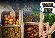 Are there any weak links in New Zealand’s food chain?