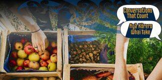 Are there any weak links in New Zealand’s food chain?