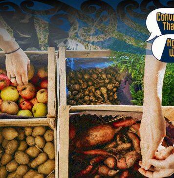 Are there any weak links in New Zealand’s food chain?