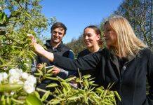 Growing business leaders for the horticultural industry