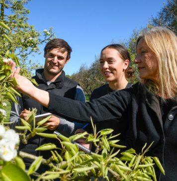 Growing business leaders for the horticultural industry