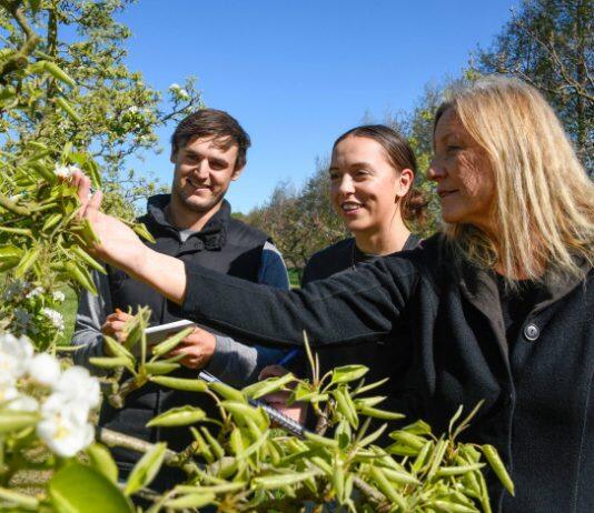 Growing business leaders for the horticultural industry