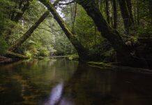 An undiscovered beauty hiding at the edge of Melbourne