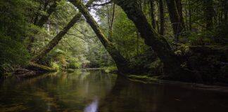 An undiscovered beauty hiding at the edge of Melbourne