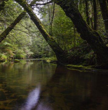 An undiscovered beauty hiding at the edge of Melbourne