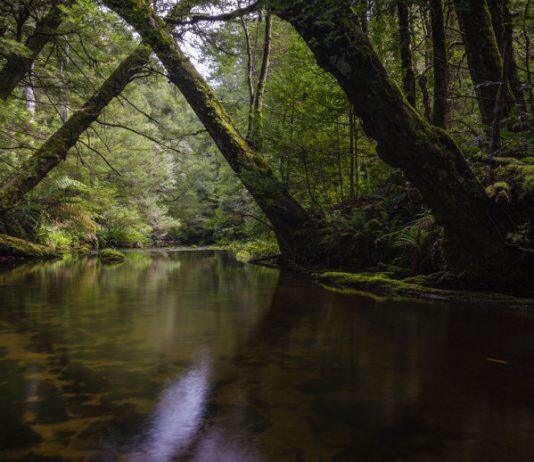 An undiscovered beauty hiding at the edge of Melbourne