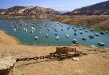 California’s Drought is Getting Worse. In a Q&A, Laurel Larsen Explains How Data Science Can Help