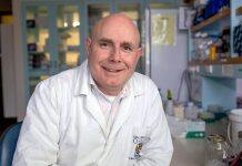 Professor Neil Gemmell named Dean of School of Biomedical Sciences