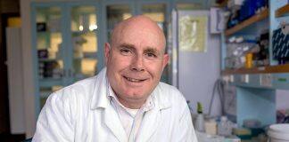 Professor Neil Gemmell named Dean of School of Biomedical Sciences