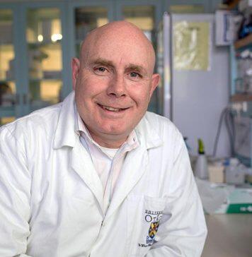 Professor Neil Gemmell named Dean of School of Biomedical Sciences