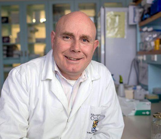 Professor Neil Gemmell named Dean of School of Biomedical Sciences