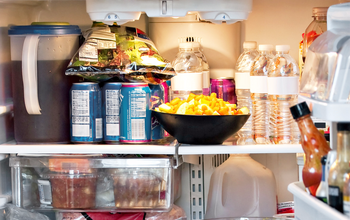 Bright idea: new LEDs can detect off food and lethal gases