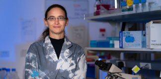 Bacteria blasting cancer treatment shows promise