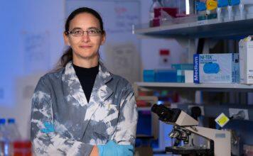 Bacteria blasting cancer treatment shows promise