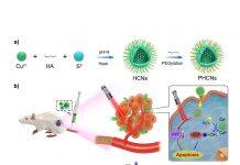 UM-developed new nanozyme technology can help improve effectiveness of immunotherapy