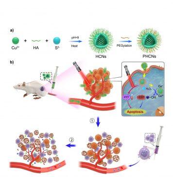 UM-developed new nanozyme technology can help improve effectiveness of immunotherapy