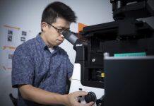 UM develops innovative phosphorescence probes for precise tumour removal