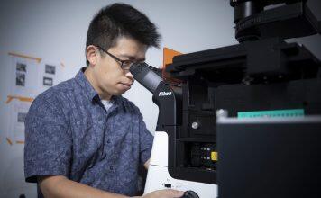 UM develops innovative phosphorescence probes for precise tumour removal