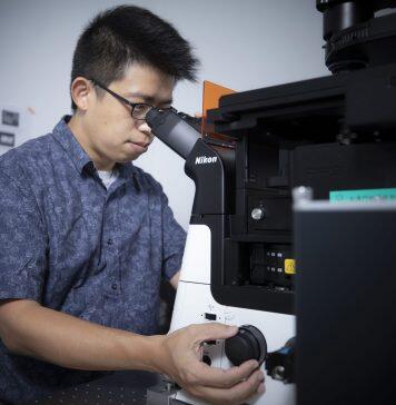 UM develops innovative phosphorescence probes for precise tumour removal