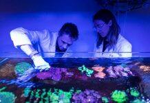 Four UTS finalists heralded in science ‘Oscars’