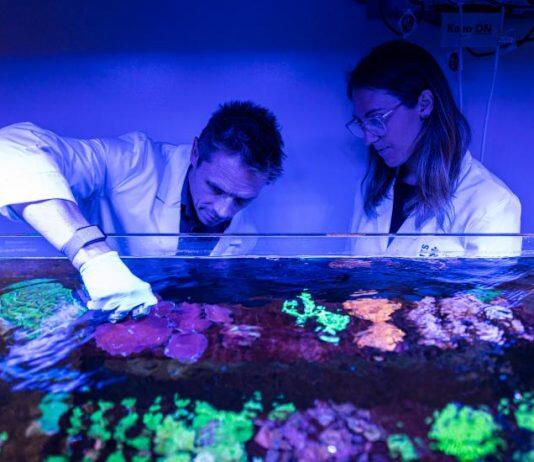 Four UTS finalists heralded in science ‘Oscars’