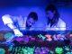 Four UTS finalists heralded in science ‘Oscars’