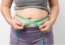 World first: Monash University researchers identify potential cause and treatment for obesity and insulin resistance