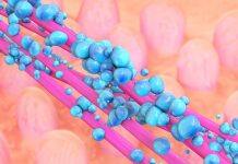 Gut microbe signatures may indicate adverse reaction to cancer treatments