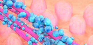 Gut microbe signatures may indicate adverse reaction to cancer treatments