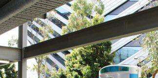 A spoonful of sugar opens a path to longer lasting lithium sulfur batteries