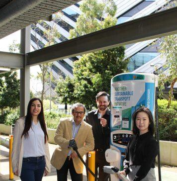 A spoonful of sugar opens a path to longer lasting lithium sulfur batteries