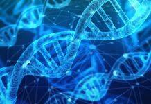 DNA Editing Technique Provides New Tool for Disease Research and Gene Therapy