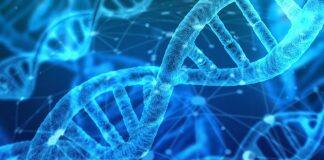 DNA Editing Technique Provides New Tool for Disease Research and Gene Therapy