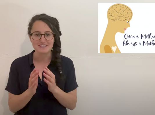 3MT winner explores lifelong effects of pregnancy on brain