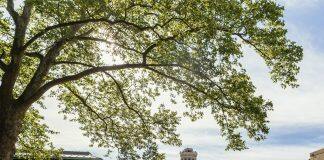 U.S. News & World Report Ranks Carnegie Mellon University No. 1 in Six Specialty Areas