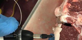 New agtech to measure meat quality in lamb