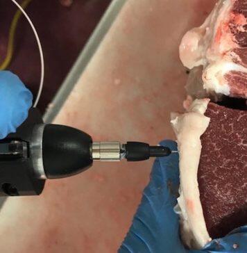 New agtech to measure meat quality in lamb