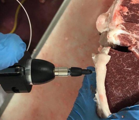 New agtech to measure meat quality in lamb